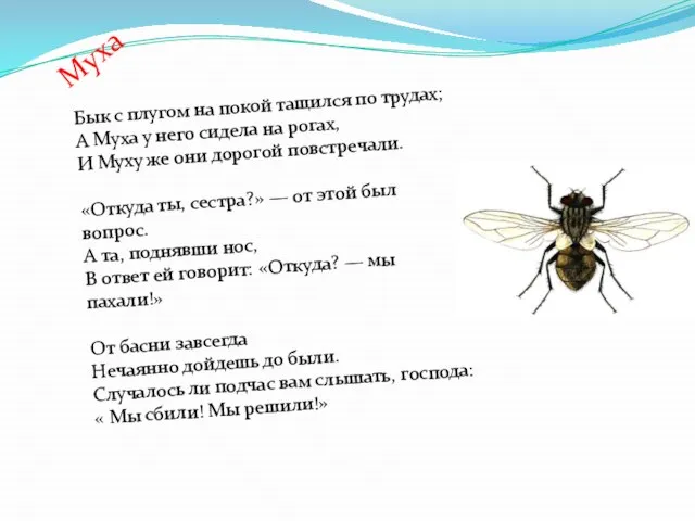 Муха Бык с плугом на покой тащился по трудах; А Муха у