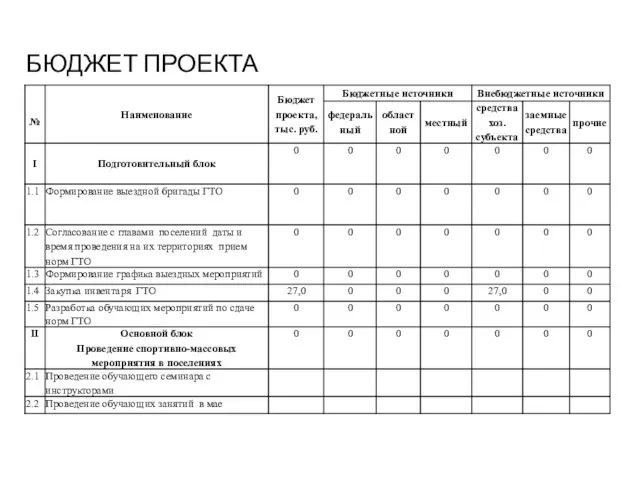 БЮДЖЕТ ПРОЕКТА