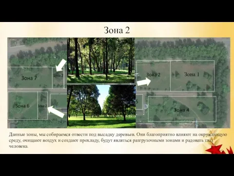 Зона 2 Данные зоны, мы собираемся отвести под высадку деревьев. Они благоприятно