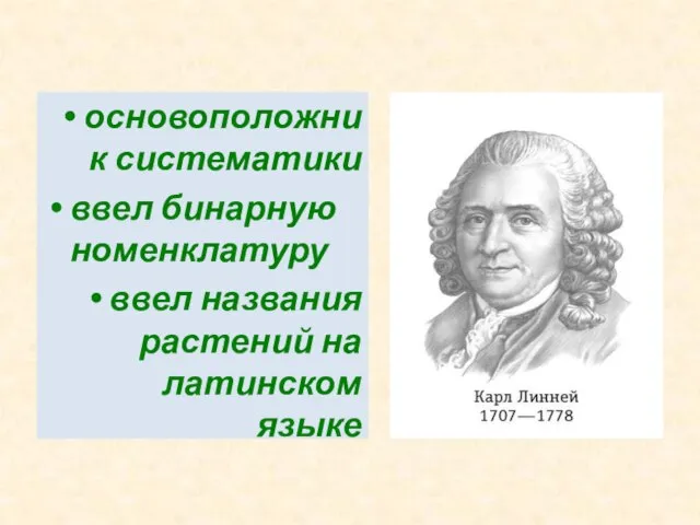 основоположник систематики ввел бинарную номенклатуру ввел названия растений на латинском языке