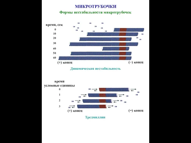 0 10 20 30 40 50 60 время, сек (+) конец (−)