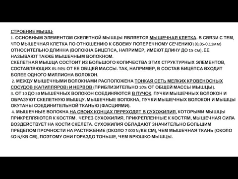 СТРОЕНИЕ МЫШЦ: 1. ОСНОВНЫМ ЭЛЕМЕНТОМ СКЕЛЕТНОЙ МЫШЦЫ ЯВЛЯЕТСЯ МЫШЕЧНАЯ КЛЕТКА. В СВЯЗИ