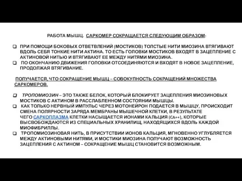 РАБОТА МЫШЦ. САРКОМЕР СОКРАЩАЕТСЯ СЛЕДУЮЩИМ ОБРАЗОМ: ПРИ ПОМОЩИ БОКОВЫХ ОТВЕТВЛЕНИЙ (МОСТИКОВ) ТОЛСТЫЕ