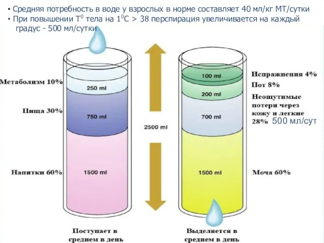 500 мл/сут Средняя потребность в воде у взрослых в норме составляет 40