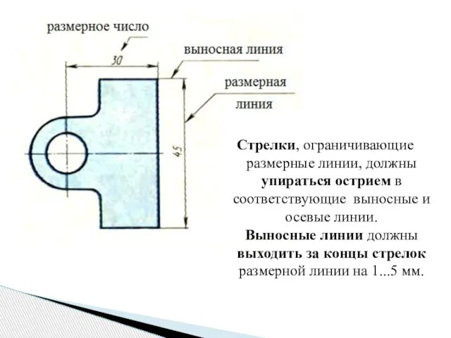 Стрелки, ограничивающие размерные линии, должны упираться острием в соответствующие выносные и осевые