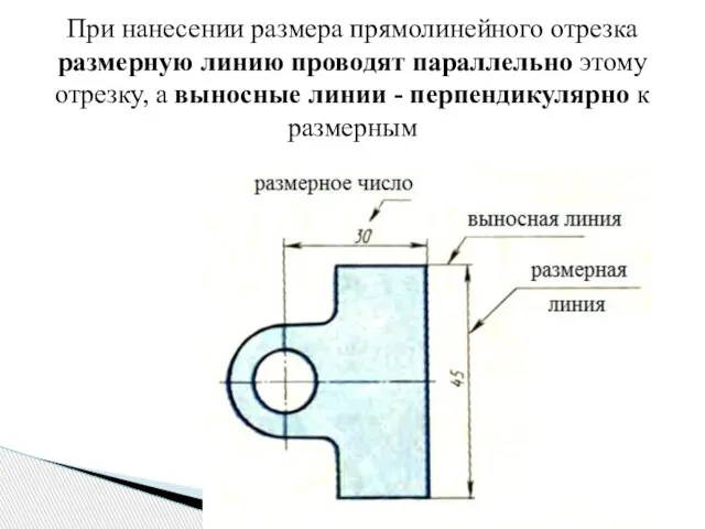 При нанесении размера прямолинейного отрезка размерную линию проводят параллельно этому отрезку, а