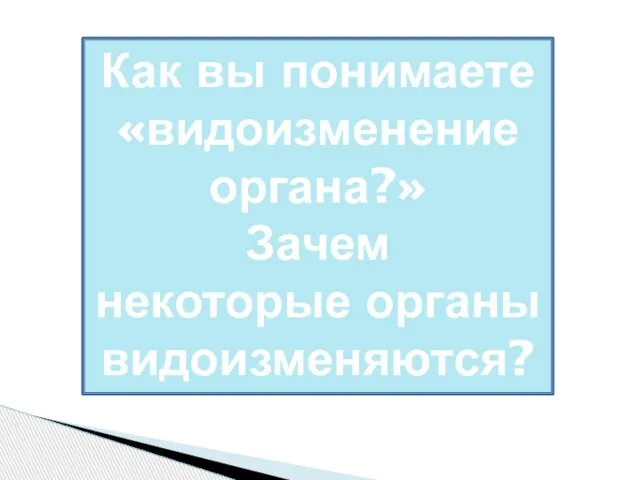 Как вы понимаете «видоизменение органа?» Зачем некоторые органы видоизменяются?