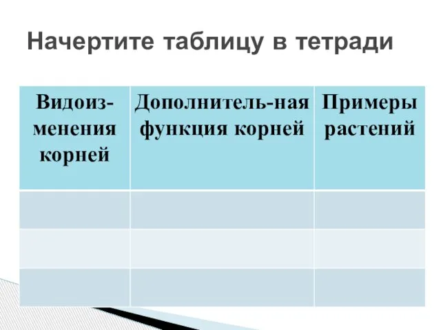 Начертите таблицу в тетради