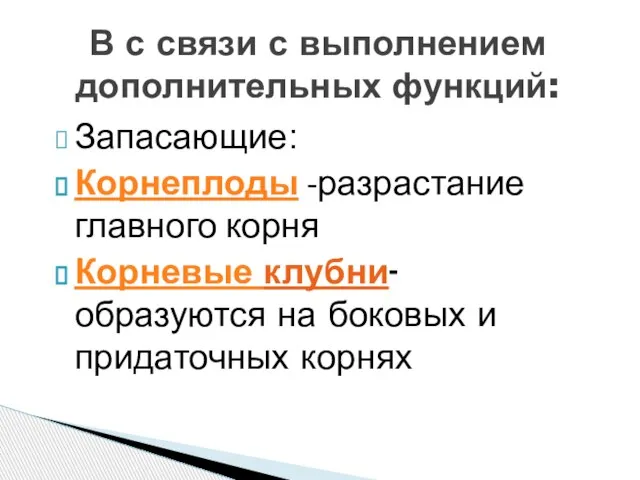 В с связи с выполнением дополнительных функций: Запасающие: Корнеплоды -разрастание главного корня