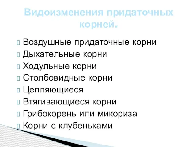 Видоизменения придаточных корней. Воздушные придаточные корни Дыхательные корни Ходульные корни Столбовидные корни