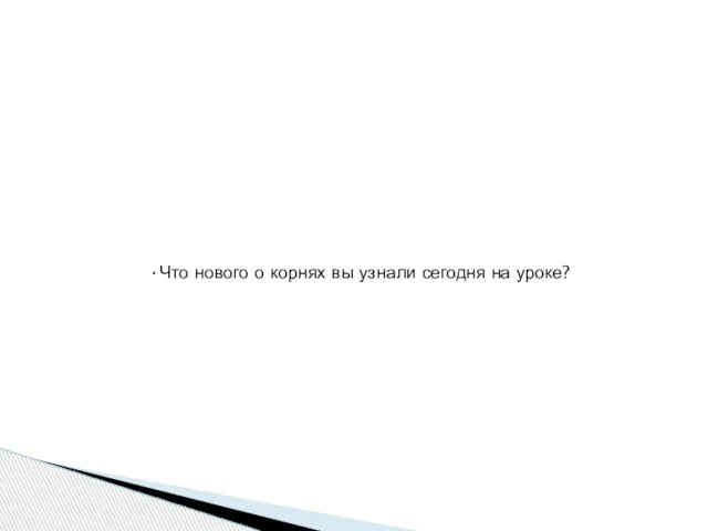 Что нового о корнях вы узнали сегодня на уроке?