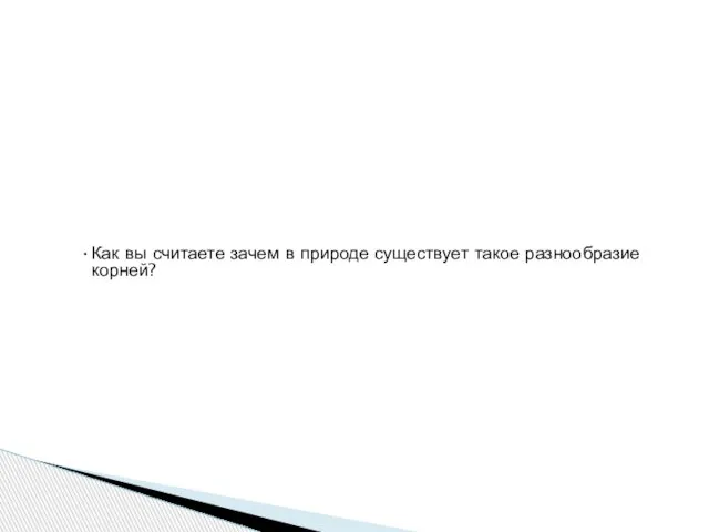 Как вы считаете зачем в природе существует такое разнообразие корней?