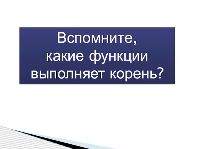 Вспомните, какие функции выполняет корень?