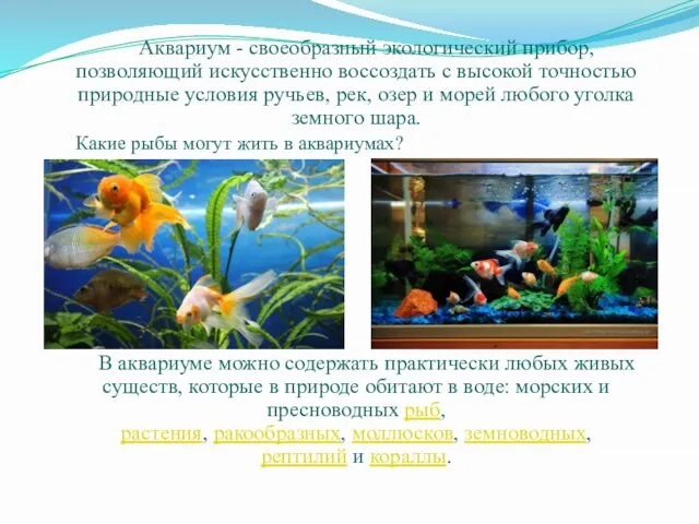 Аквариум - своеобразный экологический прибор, позволяющий искусственно воссоздать с высокой точностью природные