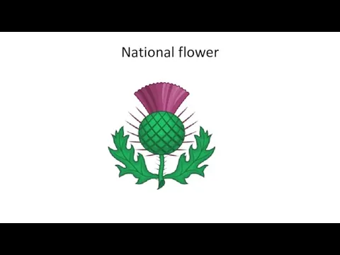 National flower