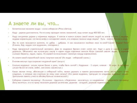 А знаете ли вы, что… Ботаническое название кедра - сосна сибирская (Pinus