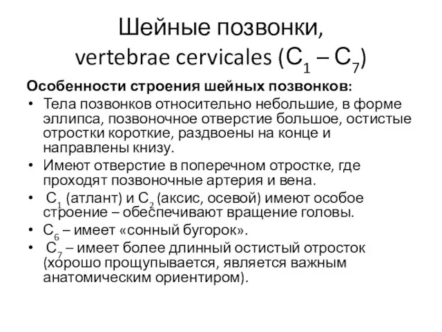 Шейные позвонки, vertebrae cervicales (С1 – С7) Особенности строения шейных позвонков: Тела