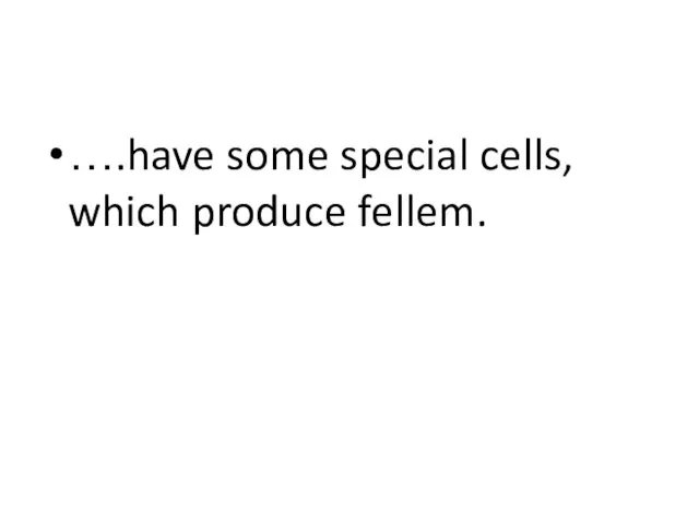 ….have some special cells, which produce fellem. …имеют специальные клетки, производящие пробку.