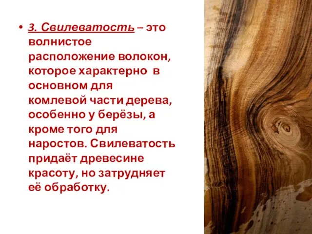 3. Свилеватость – это волнистое расположение волокон, которое характерно в основном для