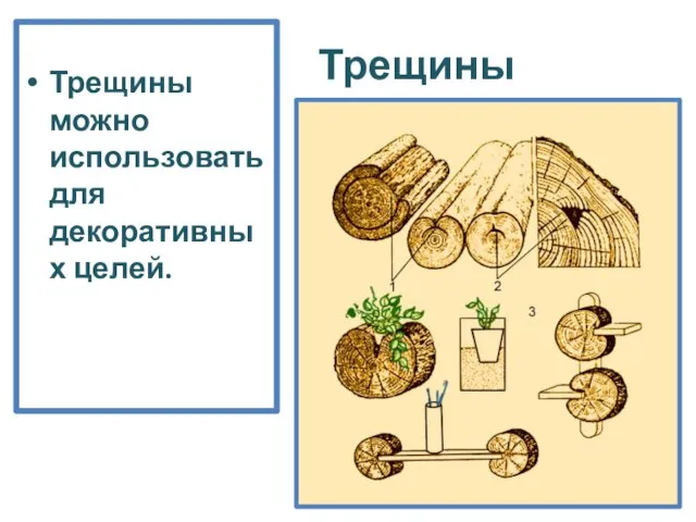 Трещины Трещины можно использовать для декоративных целей.