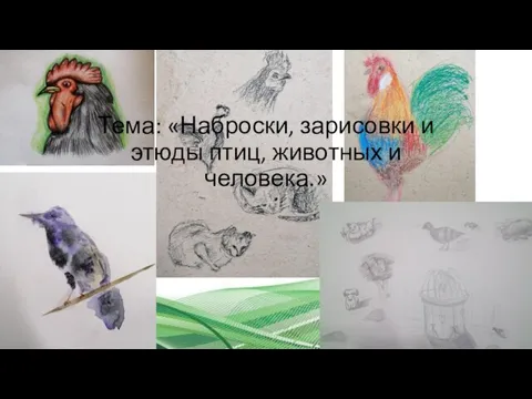 Тема: «Наброски, зарисовки и этюды птиц, животных и человека.»