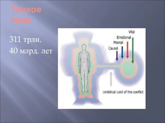 Тонкое тело 311 трлн. 40 млрд. лет