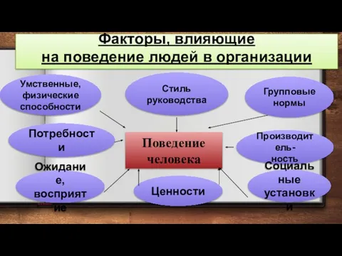 Факторы, влияющие на поведение людей в организации Умственные, физические способности Стиль руководства