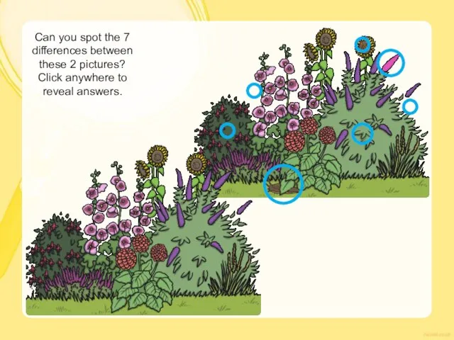 Can you spot the 7 differences between these 2 pictures? Click anywhere to reveal answers.