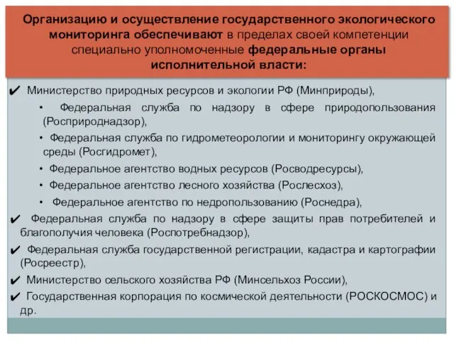 Министерство природных ресурсов и экологии РФ (Минприроды), Федеральная служба по надзору в