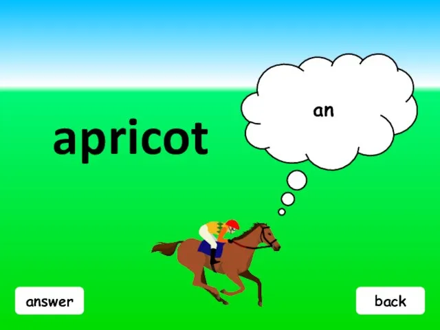 answer apricot an back