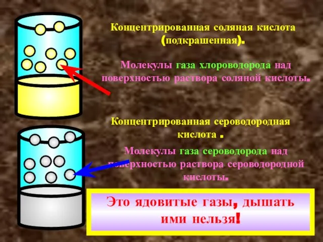 Концентрированная соляная кислота (подкрашенная). Молекулы газа хлороводорода над поверхностью раствора соляной кислоты.