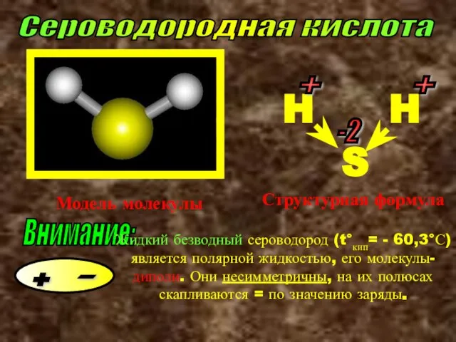 Сероводородная кислота Модель молекулы S H H + + -2 Структурная формула