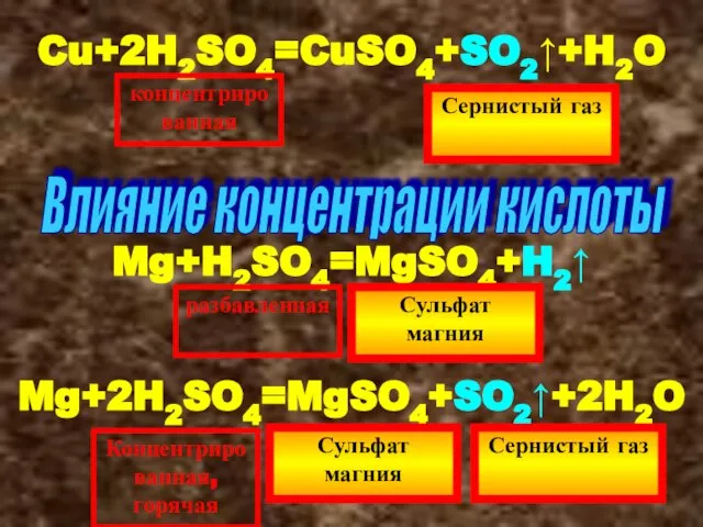 Cu+2H2SO4=CuSO4+SO2↑+H2O концентрированная Сернистый газ Влияние концентрации кислоты Mg+H2SO4=MgSO4+H2↑ Сульфат магния разбавленная Mg+2H2SO4=MgSO4+SO2↑+2H2O