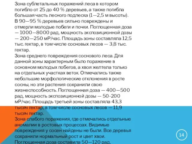 Зона сублетальных поражений леса в котором погибло от 25 до 40 %