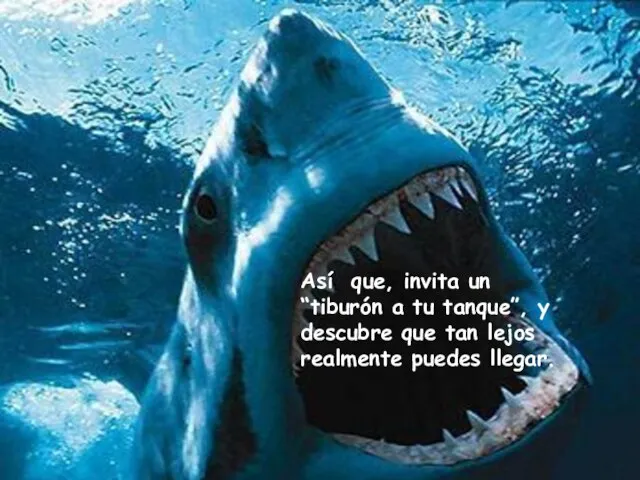 Así que, invita un “tiburón a tu tanque”, y descubre que tan lejos realmente puedes llegar.