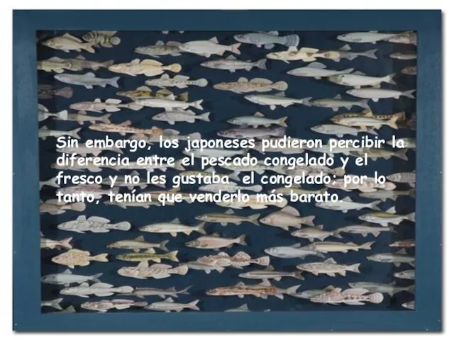 Sin embargo, los japoneses pudieron percibir la diferencia entre el pescado congelado