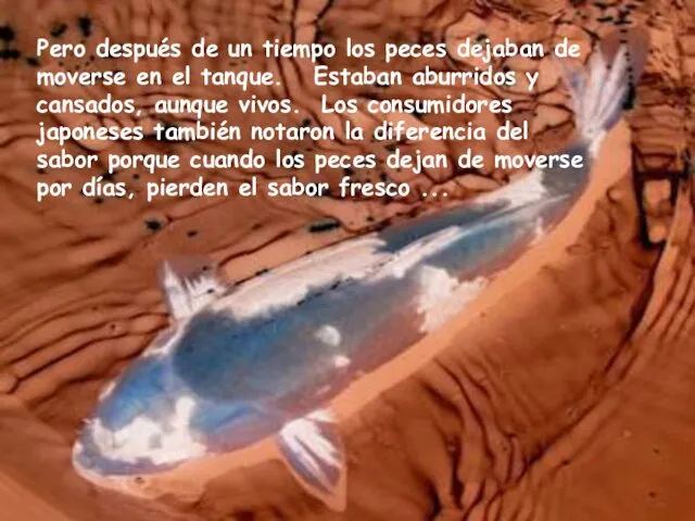 Pero después de un tiempo los peces dejaban de moverse en el