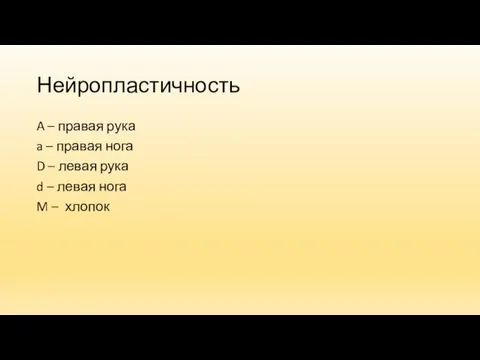 Нейропластичность A – правая рука a – правая нога D – левая