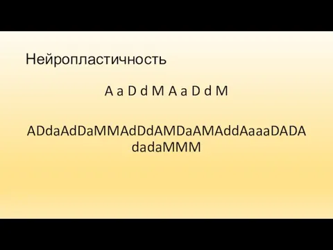 Нейропластичность A a D d M A a D d M ADdaAdDaMMAdDdAMDaAMAddAaaaDADAdadaMMM