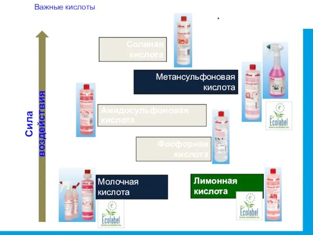 Важные кислоты Амидосульфоновая кислота Сила воздействия Молочная кислота Фосфорная кислота Соляная кислота