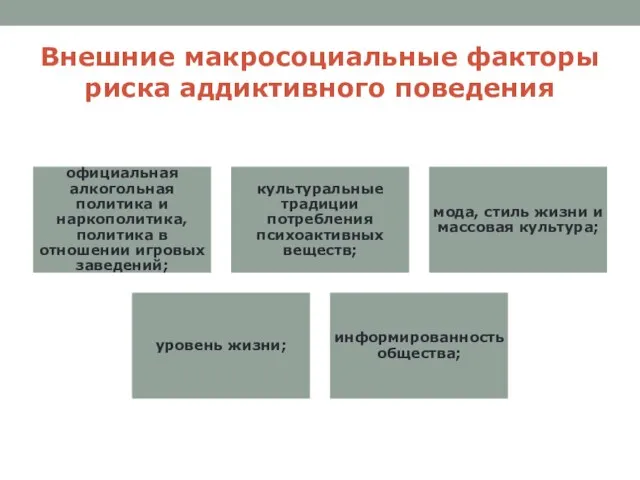 Внешние макросоциальные факторы риска аддиктивного поведения