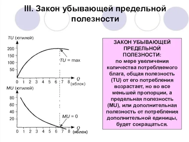 III. Закон убывающей предельной полезности ЗАКОН УБЫВАЮЩЕЙ ПРЕДЕЛЬНОЙ ПОЛЕЗНОСТИ: по мере увеличения