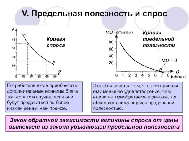 V. Предельная полезность и спрос (яблок) Кривая предельной полезности Кривая спроса Потребитель