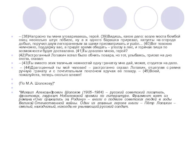 – (38)Напрасно ты меня уговариваешь, герой. (39)Видишь, какое дело: возле моста бомбой