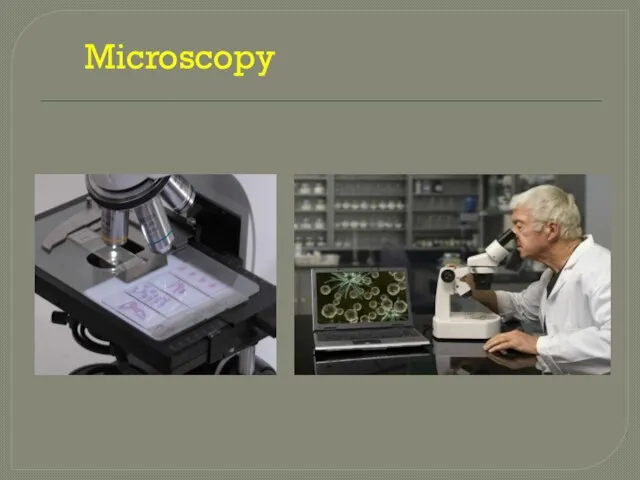 Microscopy