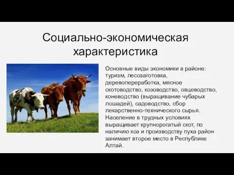 Социально-экономическая характеристика Основные виды экономики в районе: туризм, лесозаготовка, деревопереработка, мясное скотоводство,