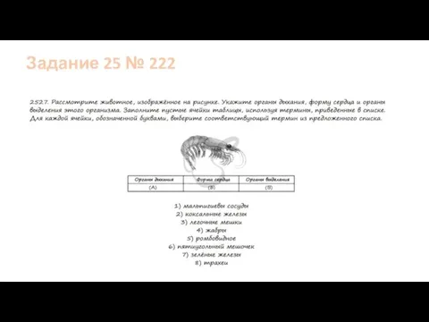 Задание 25 № 222