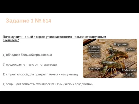 Задание 1 № 614 Почему хитиновый покров у членистоногих называют наружным скелетом?