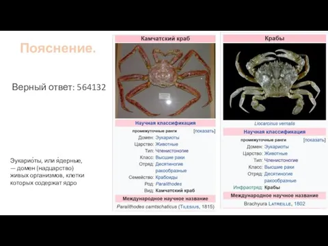 Пояснение. Верный ответ: 564132 Эукарио́ты, или я́дерные, — домен (надцарство) живых организмов, клетки которых содержат ядро