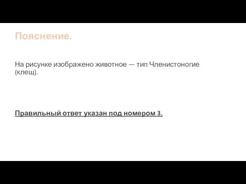 Пояснение. На рисунке изображено животное — тип Членистоногие (клещ). Правильный ответ указан под номером 3.